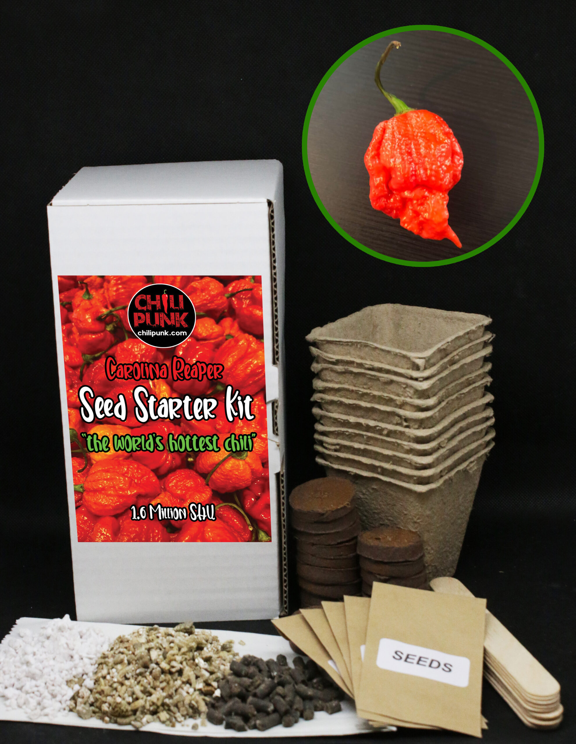 HOTTEST CHILI IN THE WORLD 10 SEEDS CAROLINA REAPER CHILI SEEDS 
